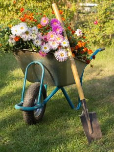 garten1