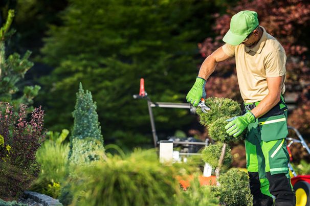 gartenarbeit