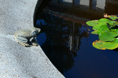 teichbau3